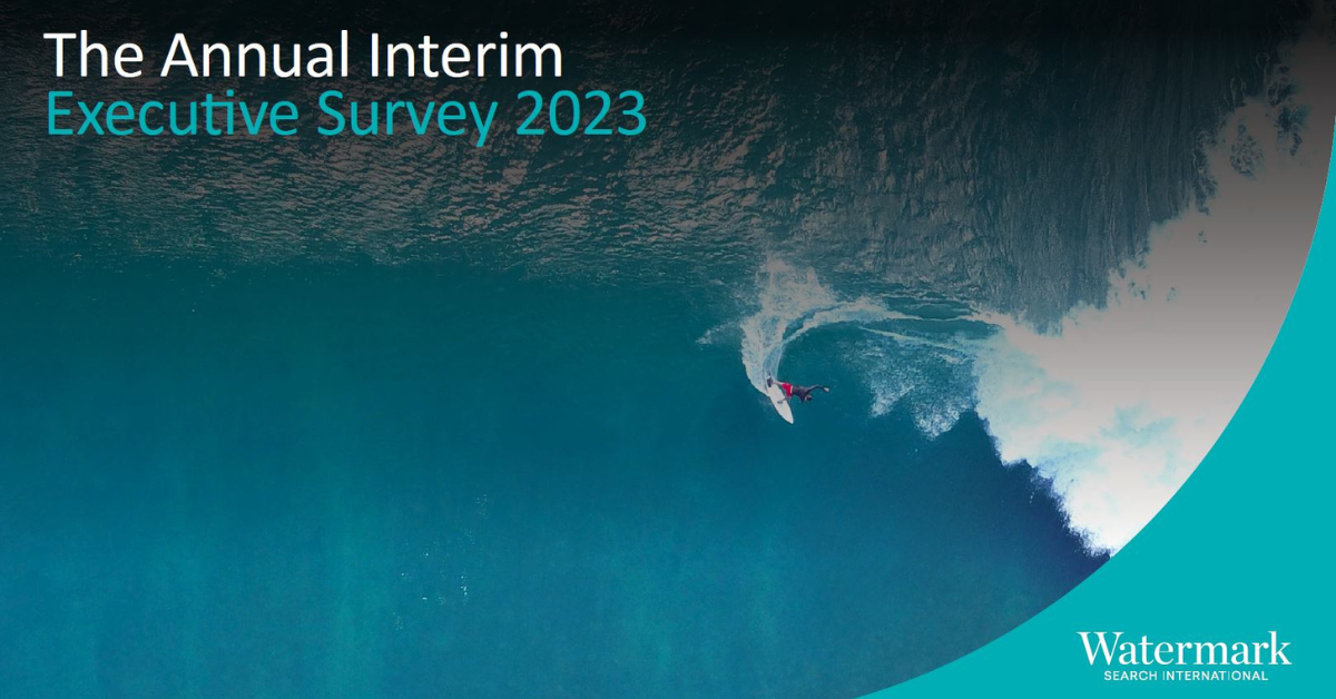 2023 Annual Interim Executive report - Watermark - InSync Network Group